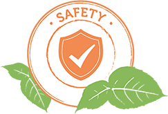 Safety element icon
